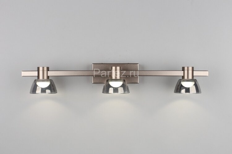 Настенный светильник Aployt APL.788.01.03