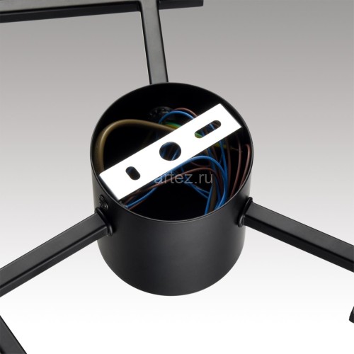 Потолочная люстра Lumion 8186/6C