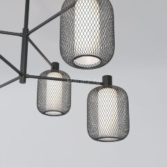 Потолочная люстра Eurosvet 30191/6 черный