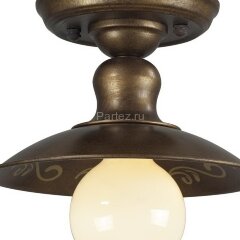 Потолочный светильник Favourite 1214-1U