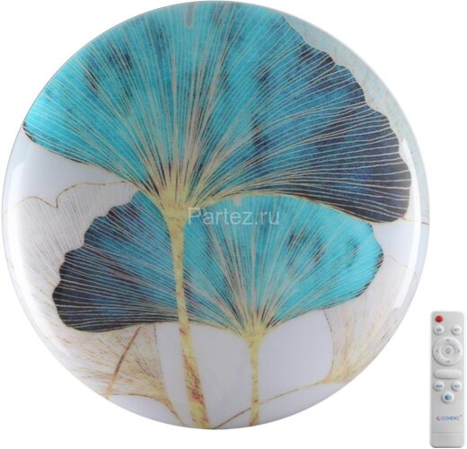 Настенно-потолочный светильник Sonex 7747/DL