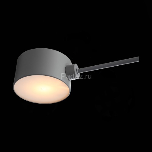 Потолочная люстра Evoluce SLE183702-04