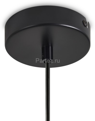 Подвесной светильник Freya FR5479PL-01W