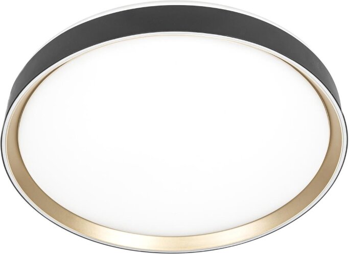 Потолочный светильник Citilux CL751451G