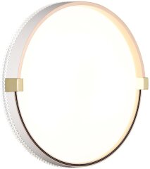 Настенно-потолочный светильник Sonex 7646/CL