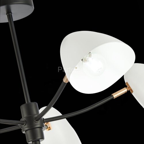 Потолочная люстра Evoluce SLE103602-05