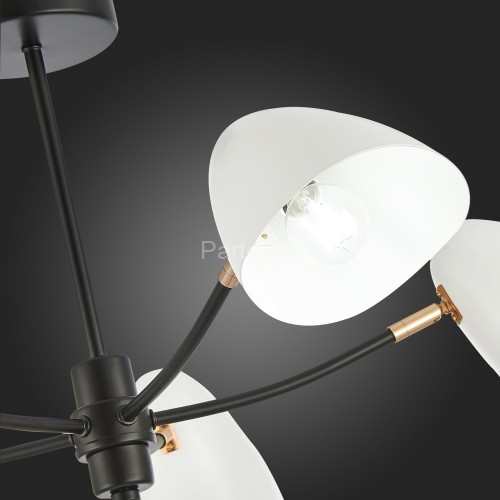 Потолочная люстра Evoluce SLE103602-05