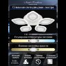 Потолочная люстра Natali Kovaltseva LED LAMPS 81167