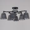Потолочная люстра Reluce 06089-0.3-06 BK+CR