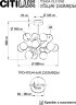 Потолочная люстра Citilux CL212193