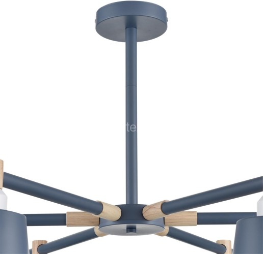 Потолочная люстра Lumion 8098/6C