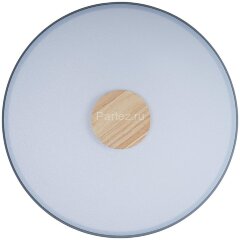 Потолочный светильник Loft It 10003/24 Grey