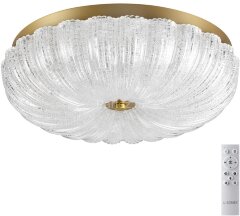 Потолочный светильник Sonex 7719/48L