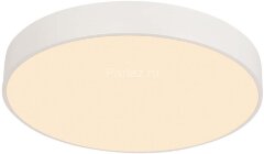 Потолочный светильник F-Promo 4685-8C