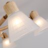Потолочная люстра Arte Lamp A4096PL-5BR