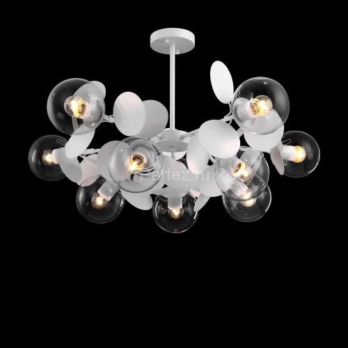 Потолочная люстра Freya FR5165PL-10W