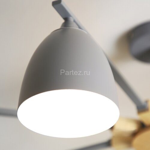 Потолочная люстра ImperiumLoft NOA01