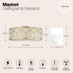 Потолочная люстра Maytoni H223-PL-05-G
