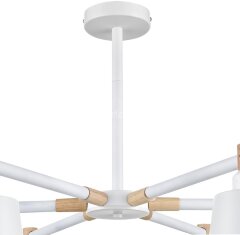 Потолочная люстра Lumion 8097/6C