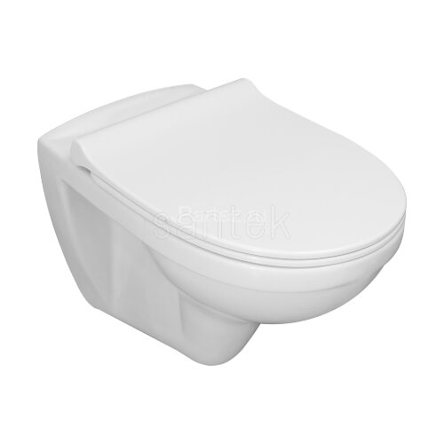 Пэк Santek "Бореаль" rimless подвесной, безободковый унитаз с тонким сиденьем, инсталляция, панель ц