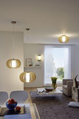 Настенно-потолочный светильник Eglo 95602