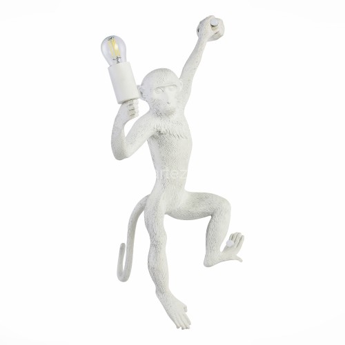 Бра Evoluce SLE115111-01