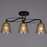 Потолочная люстра Reluce 06087-0.3-03 BK+FG