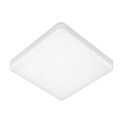 Потолочный светильник Elektrostandard DLS043