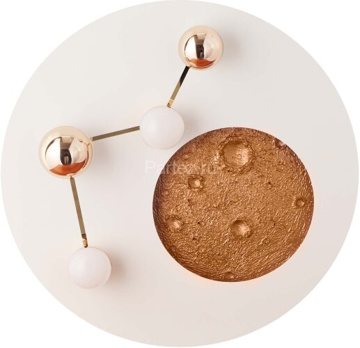 Настенно-потолочный светильник Favourite 4630-4C