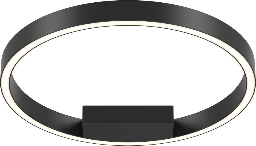 Потолочный светильник Maytoni MOD058CL-L25BK