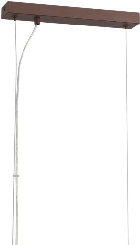 Подвесной светильник Lumion 8005/4A