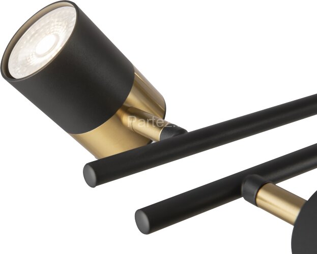 Потолочная люстра Freya FR5201PL-10B