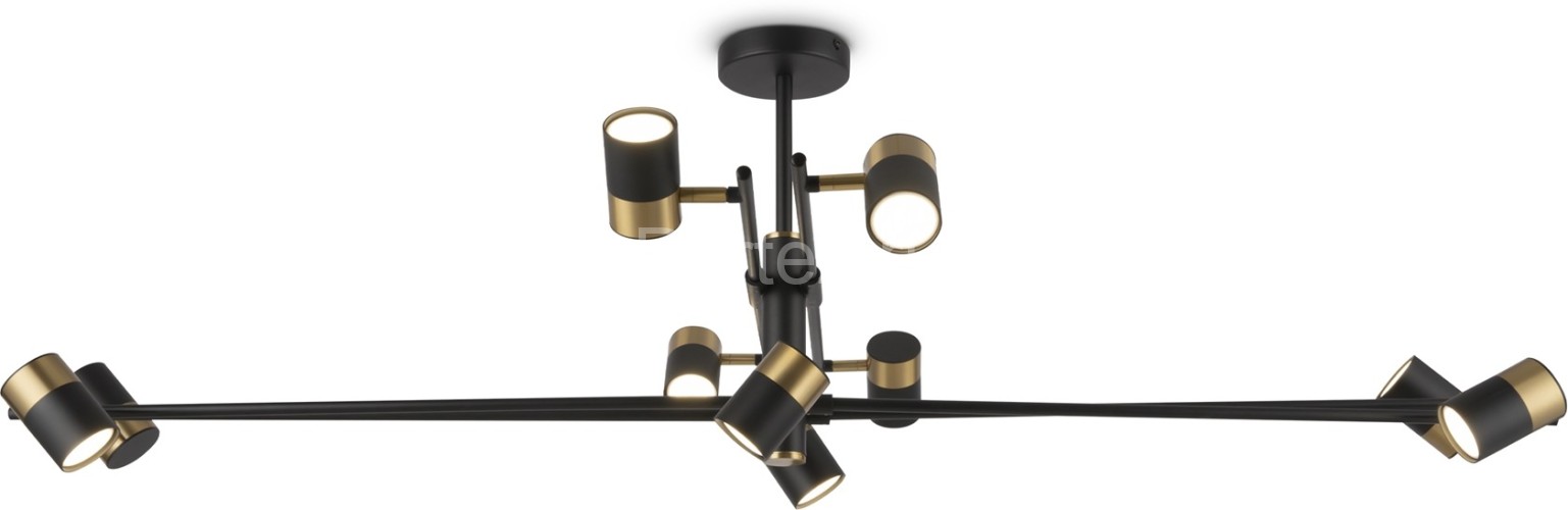 Потолочная люстра Freya FR5201PL-10B