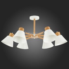 Потолочная люстра Evoluce SLE103702-06