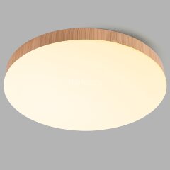 Потолочный светильник Feron 51110