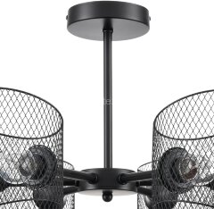 Потолочная люстра Lumion 8238/6C