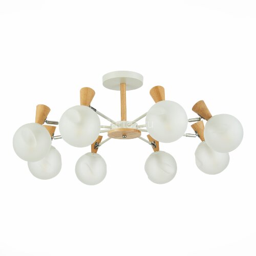 Потолочная люстра Evoluce SLE220702-08