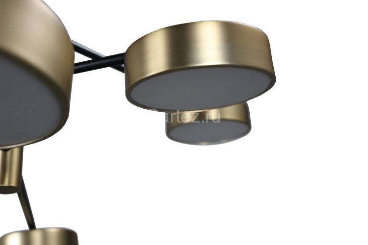 Потолочная люстра Zortes ZRS.01243.08