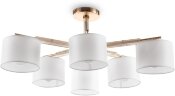 Потолочная люстра Freya FR5386CL-06G