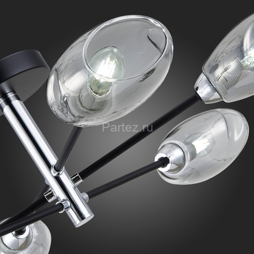 Потолочная люстра Evoluce SLE155512-06