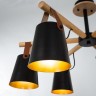 Потолочная люстра Arte Lamp A7032PL-6BK