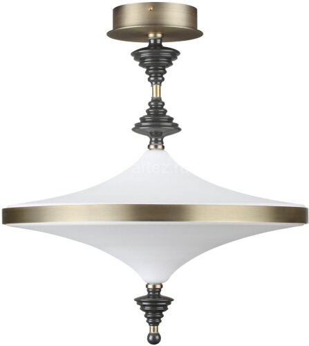 Потолочная люстра Odeon Light 5404/43CL